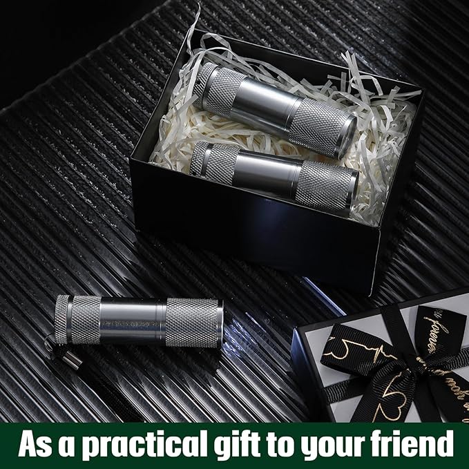 VIHOSE 20 Pcs Mini Flashlights Bulk, Bright Aluminum Handheld Flash Light with Lanyard Small LED Flashlights for Night Reading Emergency Hurricane Camping Hiking, Batteries Not Included(Gray)