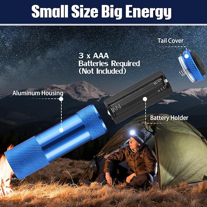 VIHOSE 12 Pcs Mini Flashlights Bulk, Bright Aluminum Handheld Flash Lights with Lanyard, Small LED Flashlights for Kids Night Reading Emergency Hurricane Camping Hiking Party Favors(Blue)