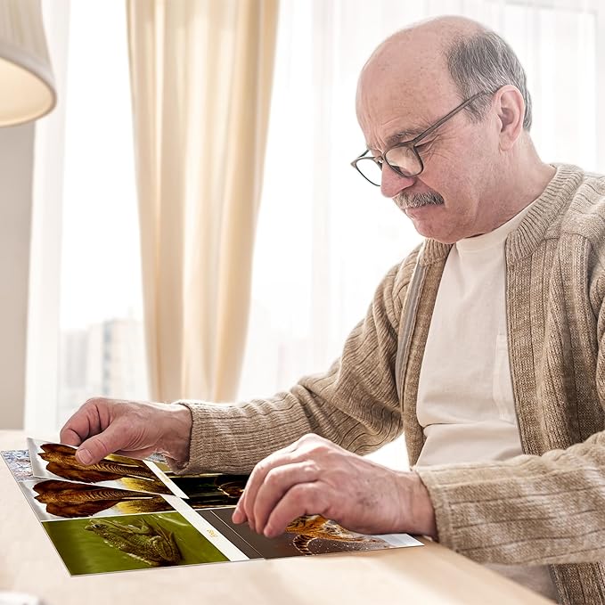 Keeping Busy Match The Photo Game with Fun Facts Set 4 Matching Games for Adults | Dementia Activities for Seniors | Activities for Dementia Patients | Alzheimers Activities for Elderly with Dementia