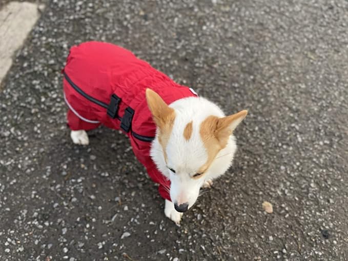 Dogs Waterproof Jacket, Lightweight Waterproof Jacket Reflective Safety Dog Raincoat Windproof Snow-Proof Dog Vest for Small Medium Large Dogs Corgis Dachshund Red D-S