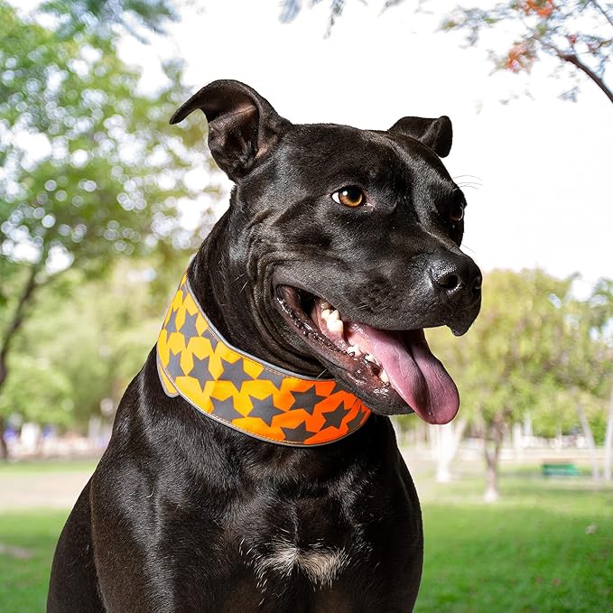 SafetyPUP XD Reflective Dog Collar ??Blaze Orange Dog Collar, Adjustable Closure for a High Visibility Customizable Collar for Goats, Dogs, Deer, and Livestock. Reflective Stars Enhance Night Safety