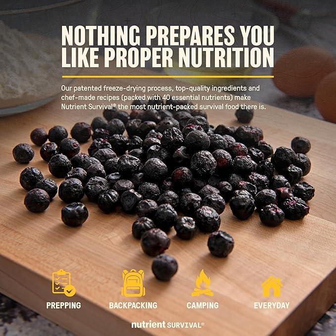 Freeze-Dried Strawberries ??Premium Sliced | #10 Can | 25-Year Shelf Life | Emergency Food & Clean Snacking (Blueberries)
