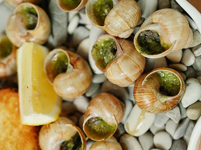 Helix Escargots | 7oz - 12 Pack | By Saveurs de la Terre | Imported from France (12 Pack, XL)