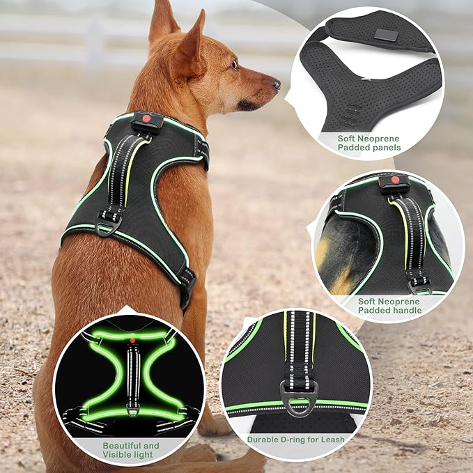 Light Up Dog Harness, No Pull LED Dog Harness with Handle, Rechargeable Lighted Safety Vest for Small Medium Large Dogs, Adjustable Soft Dog Lights for Night Walking
