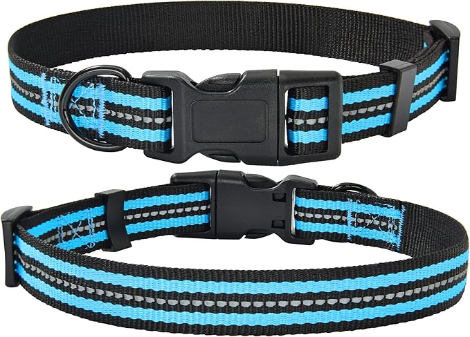 Mile High Life Reflective Dog Collar | Nylon Pet Collars wiith Buckle | Light Weight Puppy Collars | Light Blue Dog Collars for Small Dogs (Light Blue, S)