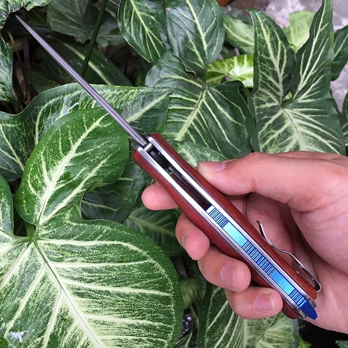 ALBATROSS Premium Damascus Folding Knife - EDC Pocket Knife with Cocobolo Wood Handle, 3.5" Blade, Liner Lock System - Outdoor Camping Hunting Survival Tool - Gift for Men-HGDK001