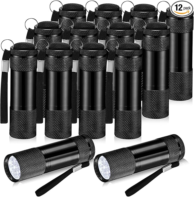VIHOSE 12 Pcs Mini Flashlights Bulk, Bright Aluminum Handheld Flash Lights with Lanyard, Small LED Flashlights for Kids Night Reading Emergency Hurricane Camping Hiking Party Favors(Black)