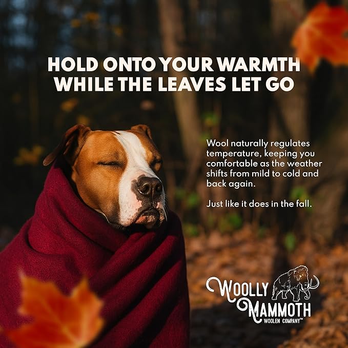 Woolly Mammoth Woolen Company Camping Blanket - 66 x 90 in, Tan - Outdoor Throw Blanket for Backpacking & Cold Weather - Heavy Wool Throw for Survival & Hiking