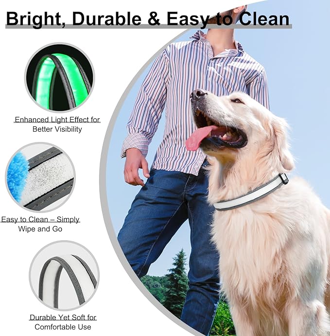 Light Up Dog Collar, Multicolor LED Dog Collar with 7 Modes, USB-C Rechargeable Reflective Glow Collar, Waterproof & Adjustable Design with Battery Indicator for Safe Night Walks (Small)