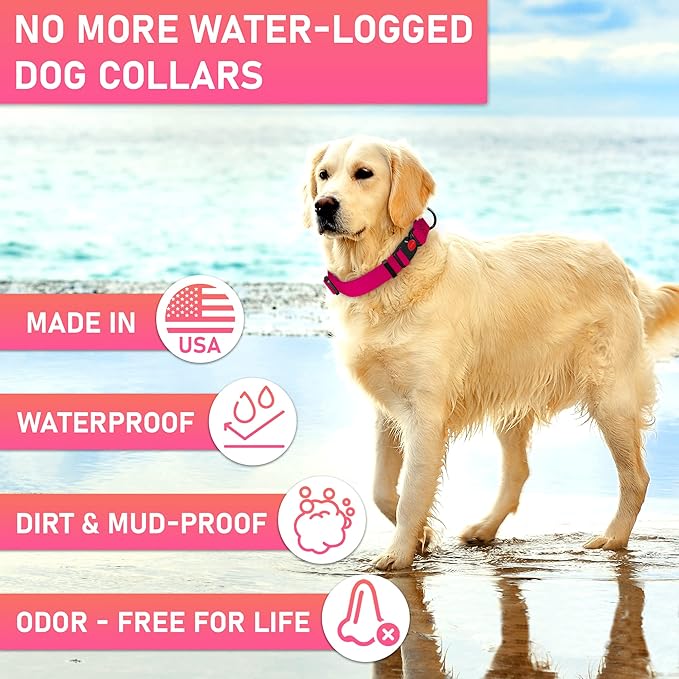 Adjustable Dog Collar with Safety Lock Buckle - Made in USA - Honeycomb Waterproof Heavy Duty Dog Collars for Medium Large Dogs - Odor Proof Pet Collar for Dogs with Strong Zinc D Ring Pink