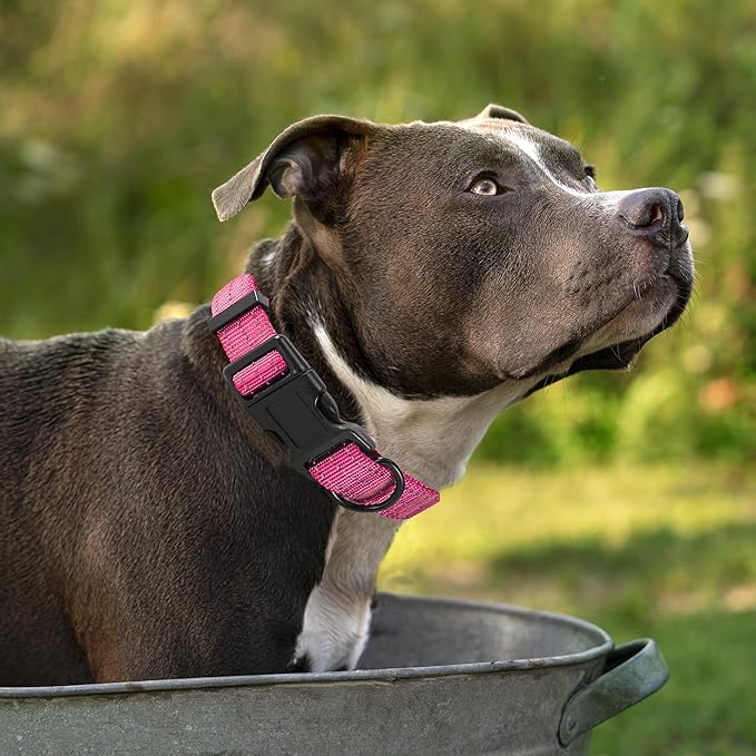 Mile High Life Dog Collar | Nylon Reflective Dog Collars | Light Weight Puppy Collars | Pink Dog Collars for Medium Dogs (Solid Pink, Medium)