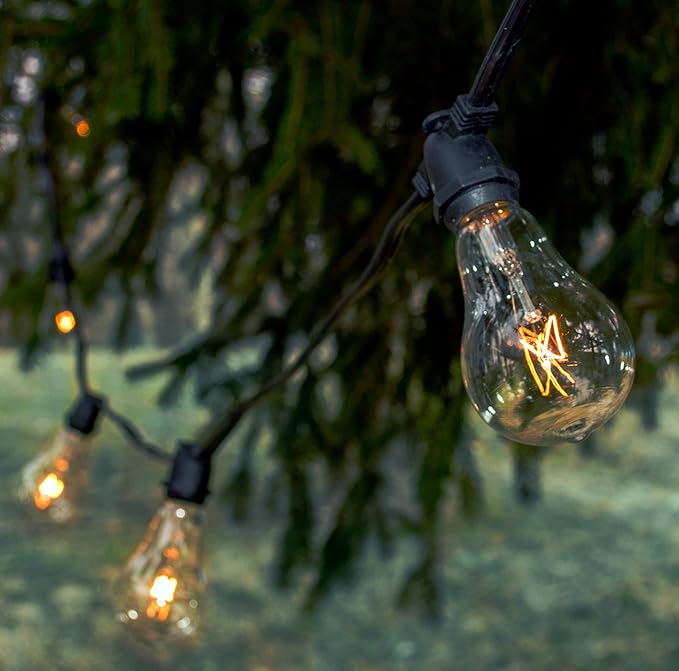 Hometown Evolution, Inc. Commercial Grade Vintage Edison Outdoor String Lights (PS50 Clear - Commercial White Wire, 25 ft)