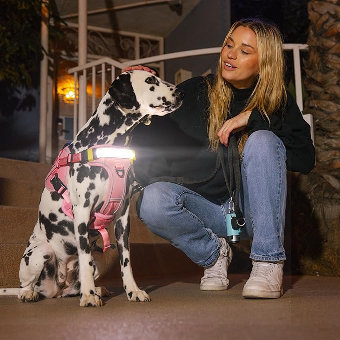 Lumi One LED Dog Harness for Night Visibility and Safety, Patent Pending, Adjustable Dog Harness Rechargeable Harness, Lumen LED Reflective Pet Apparel | Light-Up Dog Vest for Small Dogs (Pink, Small)