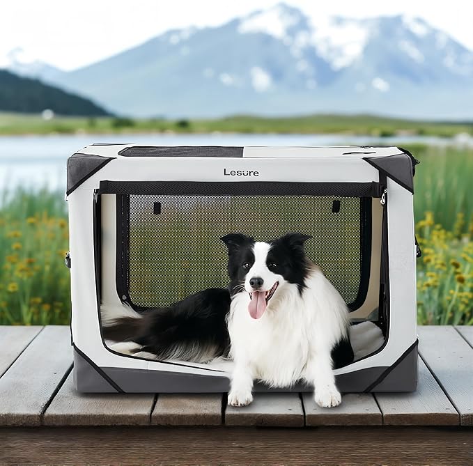 Lesure Collapsible Dog Crate - Portable Travel Kennel for Large Dog, 4-Door Pet Crate with Mesh Windows, Indoor & Outdoor, Light Gray
