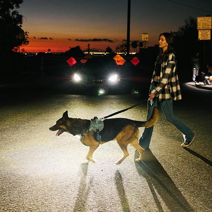Lumi One- The Only Dog Harness That Lights Your Path at Night! Patent-Pending. Dog Safety Gear, Rechargeable Adjustable Pet Harness, Durable Pet Walking Gear (Teal Blue, Medium)