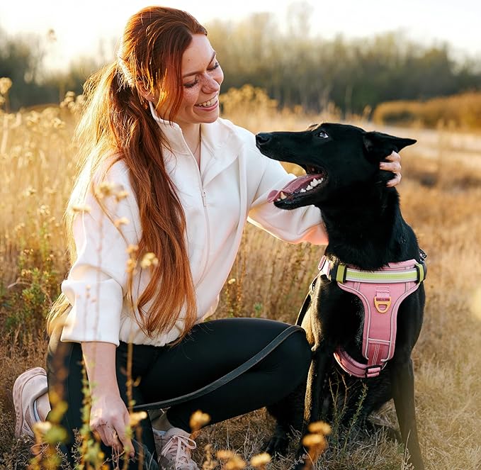 Lumi One LED Dog Harness for Night Visibility & Safety, Patent Pending, Rechargeable Adjustable Dog Harness, Durable Pet Vest, Reflective Pet Apparel, Light-Up Dog Vest (Pink, Extra Large)