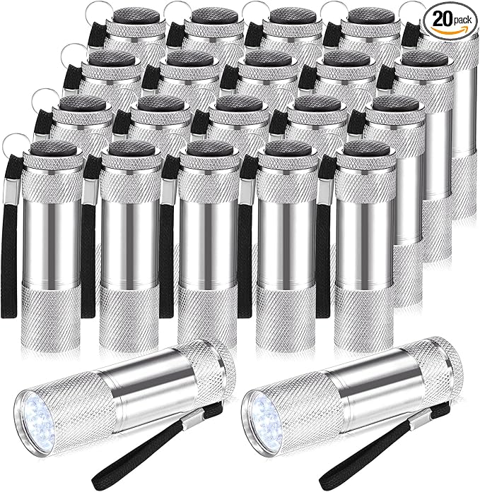 VIHOSE 20 Pcs Mini Flashlights Bulk, Bright Aluminum Handheld Flash Light with Lanyard Small LED Flashlights for Night Reading Emergency Hurricane Camping Hiking, Batteries Not Included(Silver)