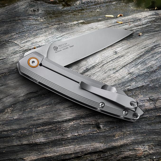 Ruike P831 Folding Tactical Knife with Clip Survival Pocket Knife Tactical EDC Tool Liner Lock 14C28N Steel Camping Knives 3.35inch Small Utility Knife Men Women Blet plus small Multi tool Key