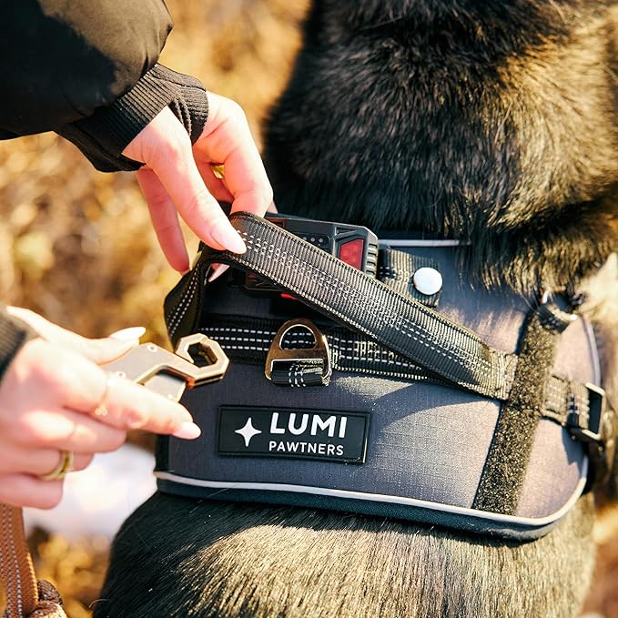 Lumi One LED Dog Harness for Night Visibility and Safety, Patent Pending – High-Visibility Light-Up Dog Vest with 1000 Lumen LED, Rechargeable Battery, Adjustable Fit, Reflective Trim (Black, Medium)