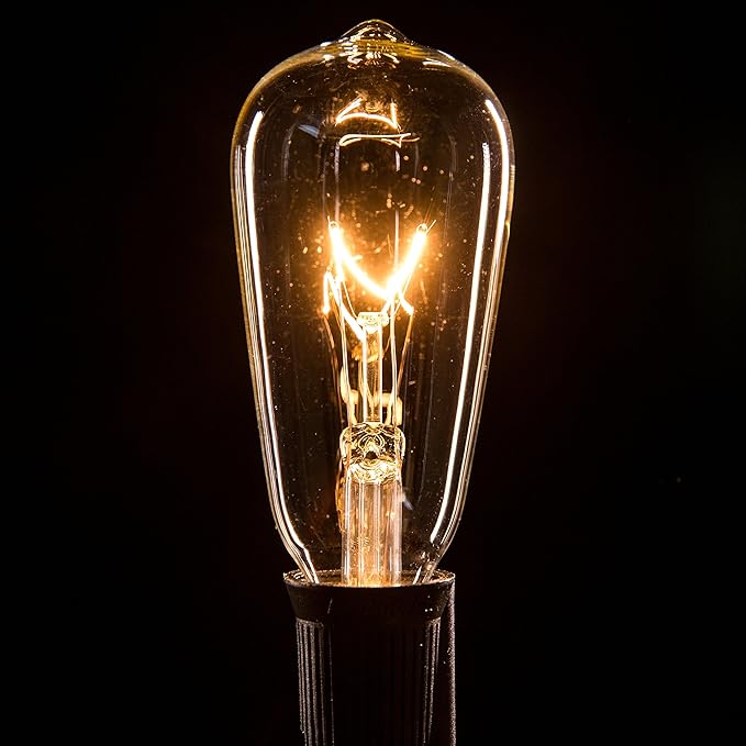 Hometown Evolution, Inc. Vintage Commercial Outdoor Edison String Lights (ST40 Clear - Commercial Black Wire, 50 ft)