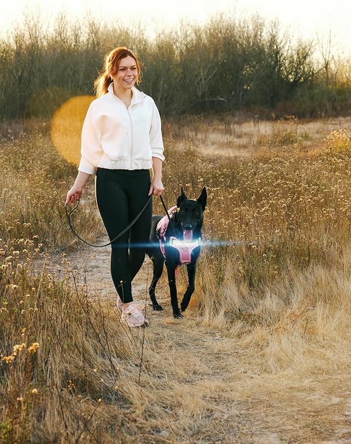 Lumi One LED Dog Harness for Night Visibility and Safety, Patent Pending – Light-Up Dog Vest, Reflective, Adjustable, Rechargeable, Durable, High-Visibility Pet Gear (Pink, Medium)