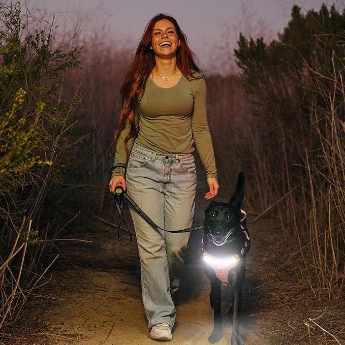 Lumi One LED Dog Harness for Night Visibility and Safety, Patent Pending, Adjustable Dog Harness Rechargeable Harness, Lumen LED Reflective Pet Apparel | Light-Up Dog Vest for Small Dogs (Pink, Small)