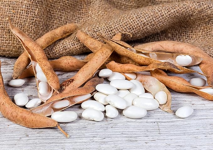 Food to Live Organic White Kidney Beans, 3 Pounds Whole Raw Dried Beans, Vegan, Kosher, Bulk. Rich in Dietary Fiber and Protein. Perfect for Soups, Stews, Chili, Paste, Salads and Side Dishes