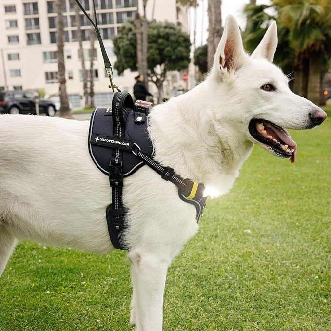 Lumi One LED Dog Harness for Night Visibility and Safety, Patent Pending – High-Visibility Light-Up Dog Vest with 1000 Lumen LED, Rechargeable Battery, Adjustable Fit, Reflective Trim (Black, Medium)