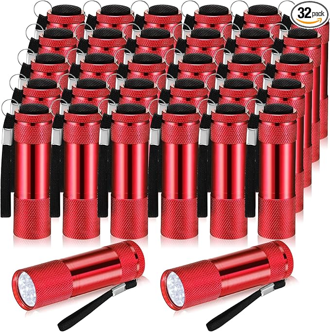 VIHOSE 32 Pcs Mini Flashlights Bulk, Bright Aluminum Handheld Flash Light with Lanyard Small LED Flashlights for Night Reading Emergency Hurricane Camping Hiking, Batteries Not Included(Red)