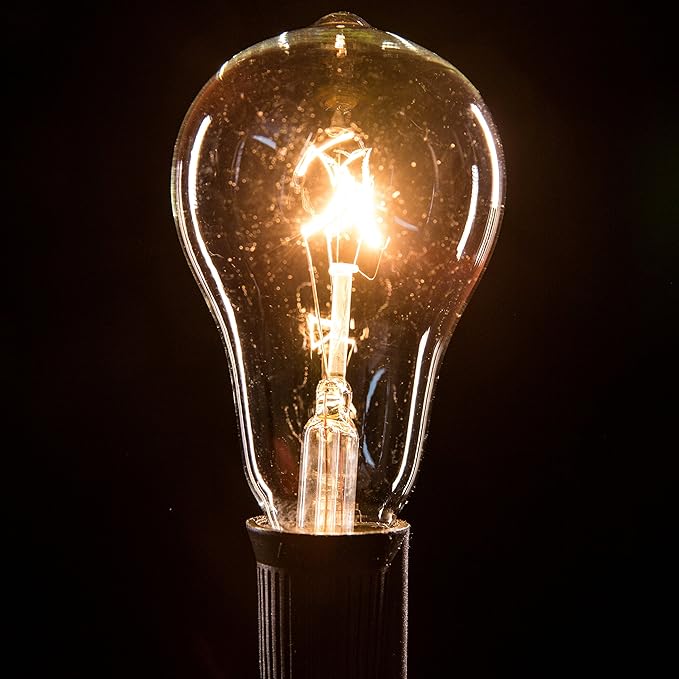 Hometown Evolution, Inc. Commercial Grade Vintage Edison Outdoor String Lights (PS50 Clear - Commercial Black Wire, 100 ft)