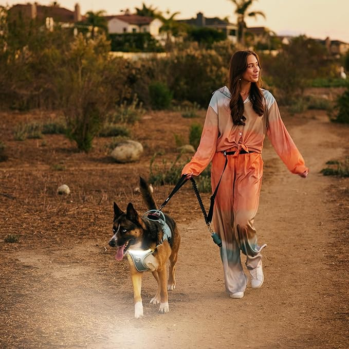 Lumi One- The Only Dog Harness That Lights Your Path at Night! Patent-Pending. Dog Safety Gear, Rechargeable Adjustable Pet Harness, Durable Pet Walking Gear (Teal Blue, Medium)