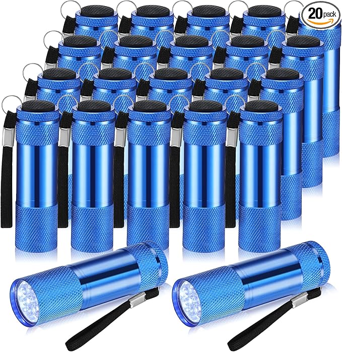 VIHOSE 20 Pcs Mini Flashlights Bulk, Bright Aluminum Handheld Flash Light with Lanyard Small LED Flashlights for Night Reading Emergency Hurricane Camping Hiking, Batteries Not Included(Blue)