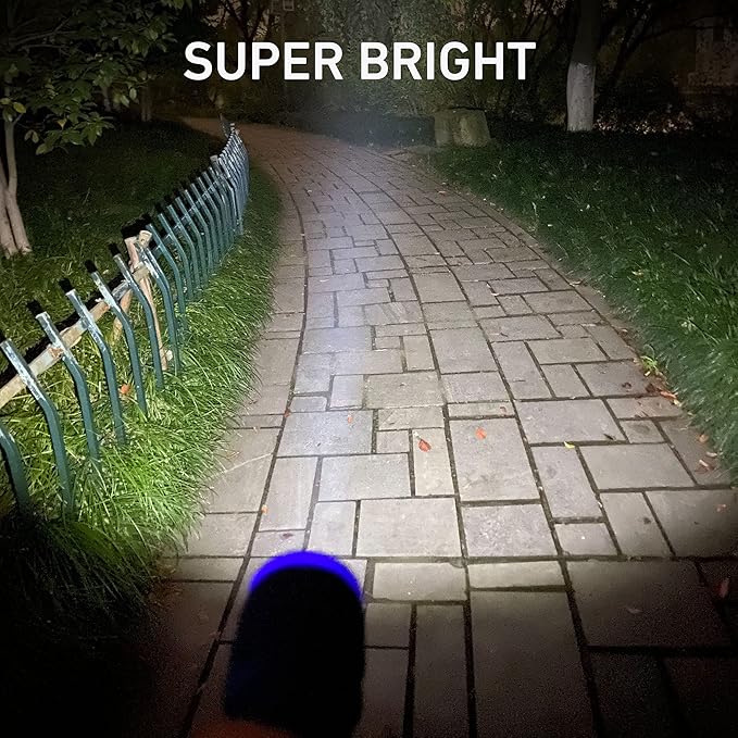 36-Pack Small Flashlights Set, Super Bright 100 Lumen LED Flashlight Pack with 108-Piece AAA Batteries Included, Mini Flashlight, Outdoor Flashlight for Camping, Hiking, Emergency