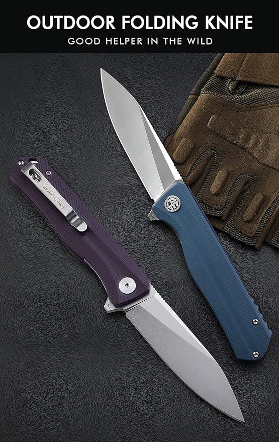 Petrified fish G10 handle D2 steel blade 2CR13 liner ball bearing flipper folding knife camping hunting EDC pocket tool PF818 (Black, Stonewash)