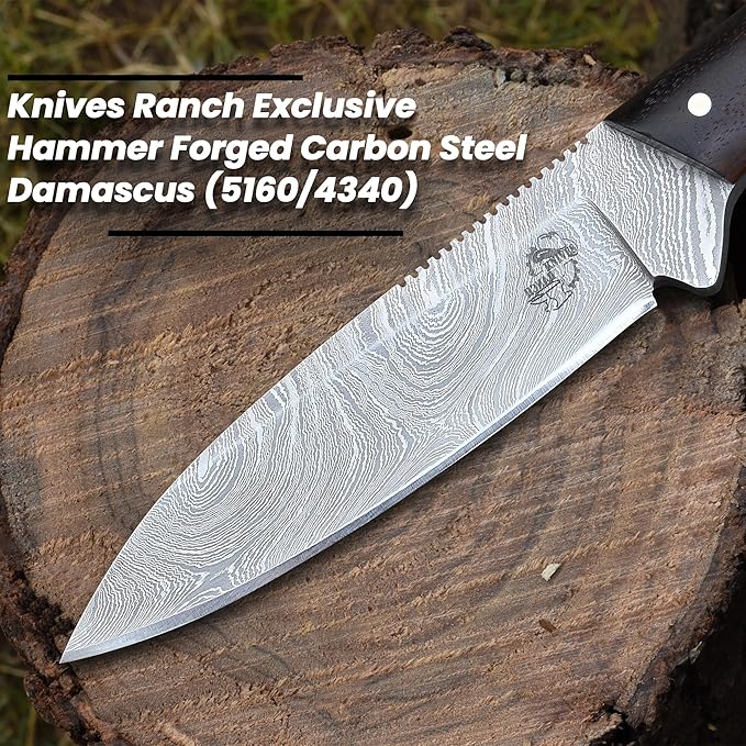 Knives Ranch Premium Hunting Knife - Handmade - 3/16" Full Tang Damascus Blade - Excellent Edge Retention - Rosewood Handle - Heavy-Duty Leather Sheath (3197-IRW)