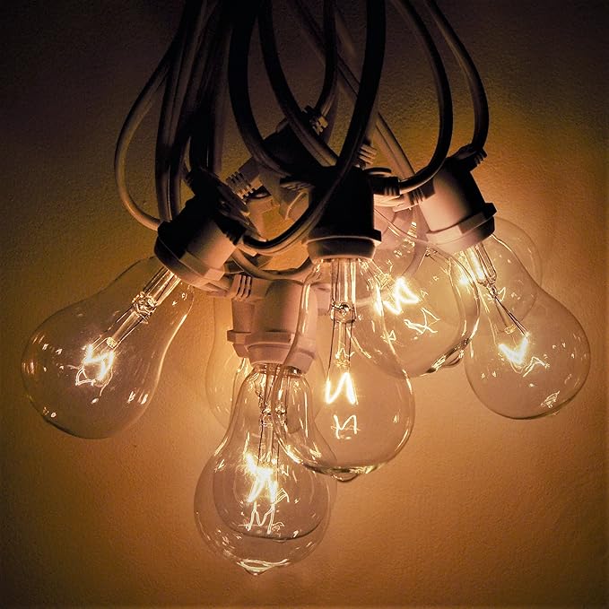 Hometown Evolution, Inc. Commercial Grade Vintage Edison Outdoor String Lights (PS50 Clear - Commercial White Wire, 50 ft)