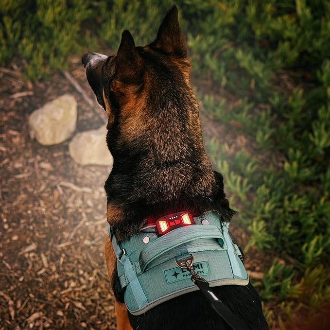 Lumi One- The Only Dog Harness That Lights Your Path at Night! Patent-Pending. Dog Safety Gear, Rechargeable Adjustable Pet Harness, Durable Pet Walking Gear (Teal Blue, Medium)