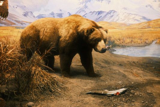 Why Animal Repellent Belongs on Your Camping Checklist