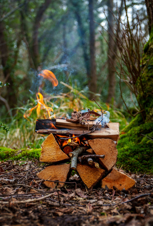 Must-Have Seasonings for Every Camping Trip