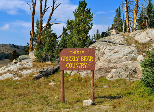 Essential Safety Gear for Hiking in Bear Country