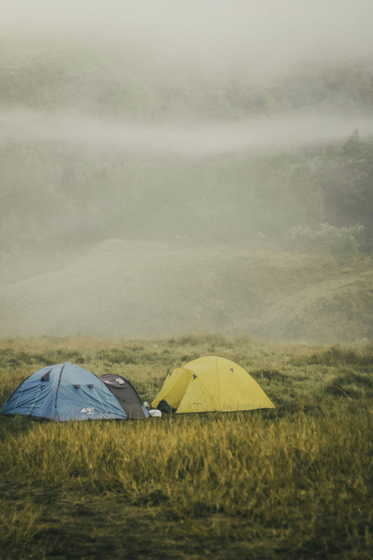 Camping Trends You¡¯ll See More of This Year