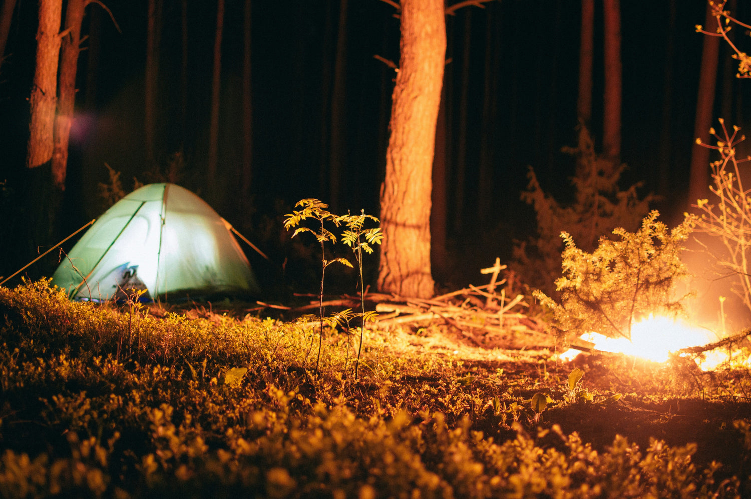 Minimalist Essentials — Ultralight, Simple & Smart