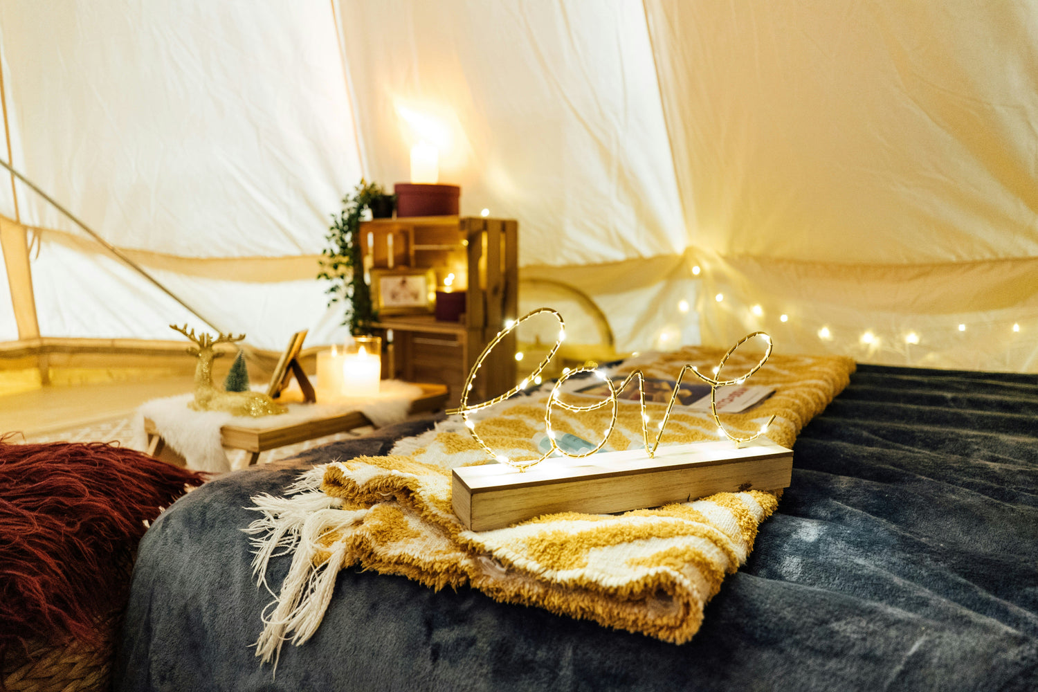Pet Camping Gear — Beds, Bowls & Leashes