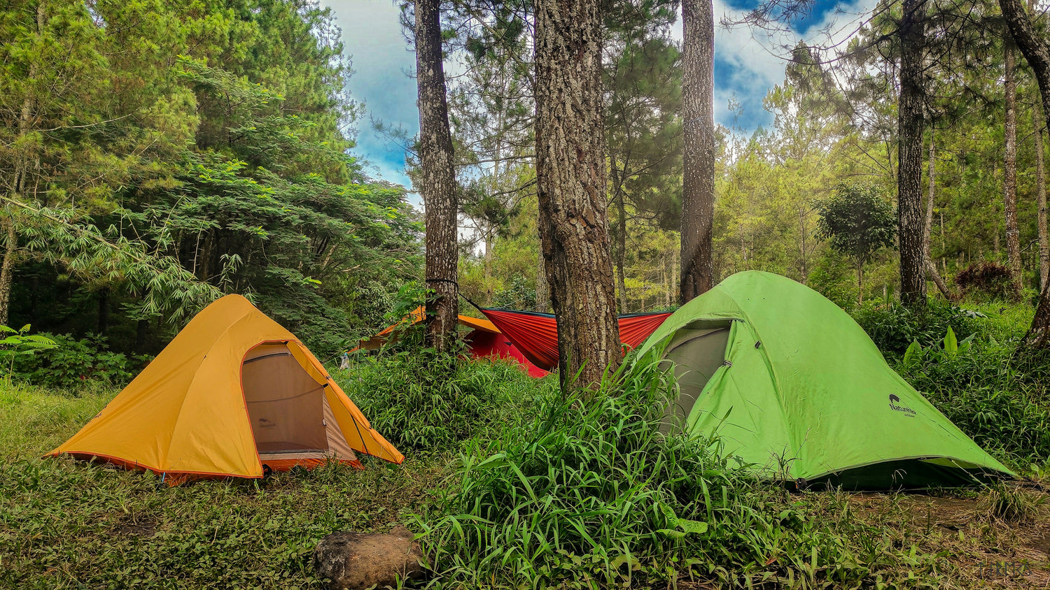 Wilderness Essentials — Core Backcountry Kit