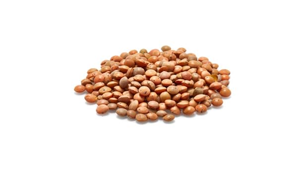 Yupik Organic Brown Lentils, 2.2 lb (35.2 oz), Non-GMO, Vegan, Gluten-Free, Kosher, Raw, Salt-Free, High in Fiber & Protein, Ideal for Soups, Salads & Meat Alternatives