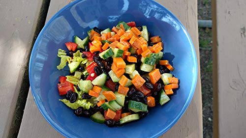 1000 SPRINGS MILL - Organic Black Beans | Used for Soups, Salads, Chili, Dips or Various Breakfast Dishes | Bulk Dry Black Beans | Resealable Bag | Vegan Friendly | 16oz (Pack of 4)