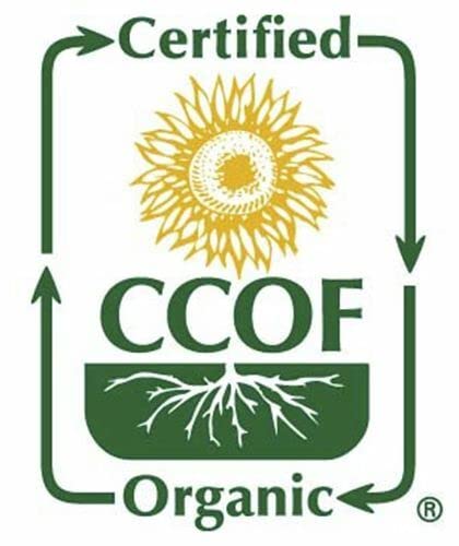 McCabe Organic Coix Seed - Job's Tears 2 Lbs| High Protein and Fiber | USDA and CCOF Certified | Packed in USA