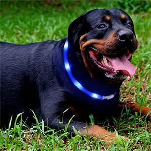 2 Pack Light Up Dog Collars with 1640 Feet of Visibility - Brightest Glow Dog Collar Light, Rechargeable Dog Collar Light for Night Walking, 3 Flashing Modes, Keeps Your Pets Safe in The Dark