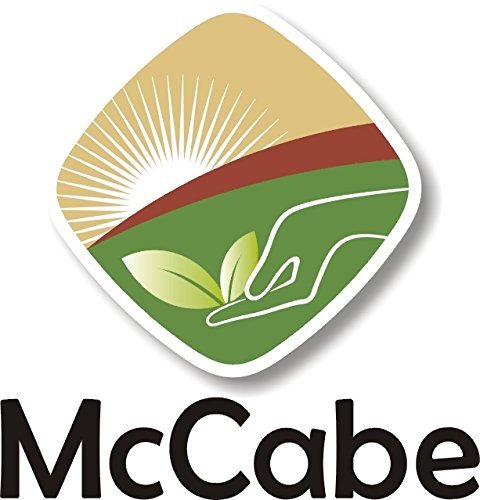 McCabe Organic Brown Lentils - Bulk Lentils Rich in Fiber & Minerals | USDA and CCOF Certified | Product of USA | 1Lbs (Pack of 3)