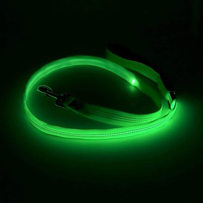 Candofly Glowing LED Dog Leash, Rechargeable Pet Leash with Lights, 4 Ft Light Up Dog Leash for Night Walking Keep Your Pets Visible (Neon Green)